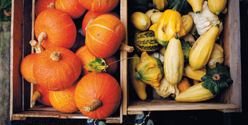 Kryssning med Birka till Visby med Sk�rdefest p� �land, 4 dagar